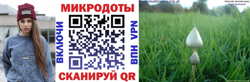 Псилоцибиновые грибы прущие грибы Севастополь